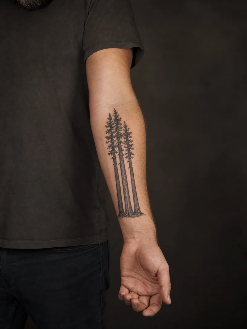 Redwood family tattoo - Four redwood trunks rise together through narrow negative-space branches.