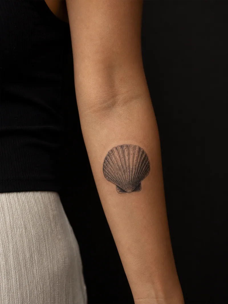 Realistic seashell tattoo - A small scallop shell with soft depth and precise ribbed texture.