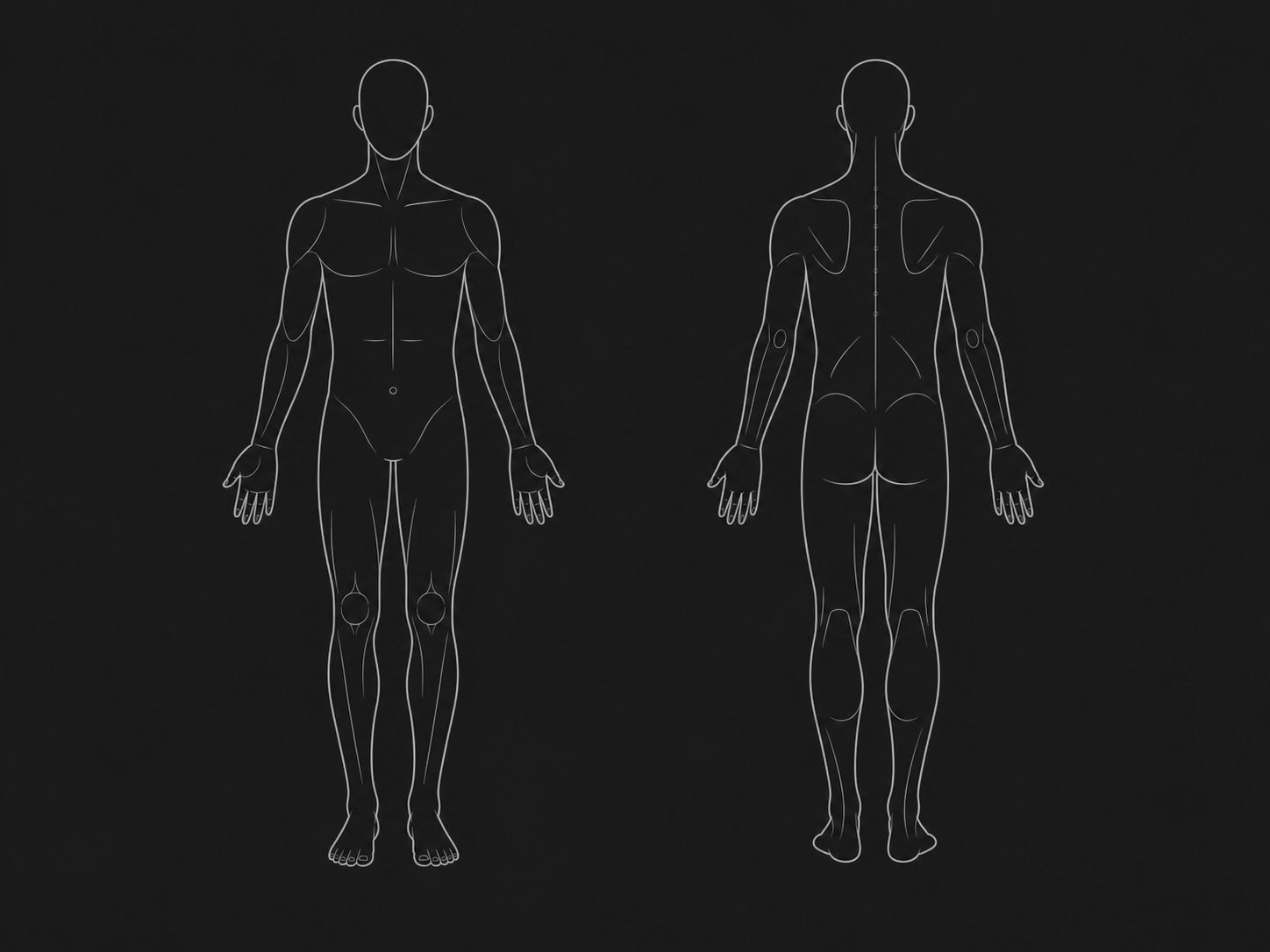 Anatomical body map shown from the front and back